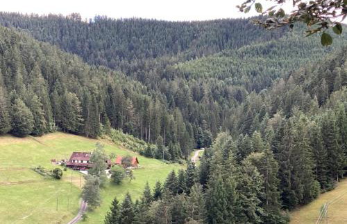 Appart Herzglück - Foto 10