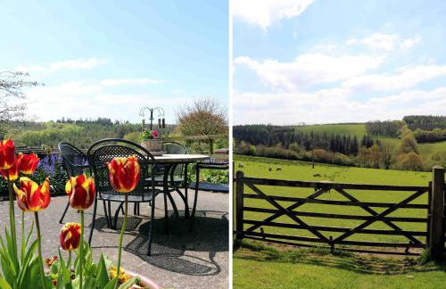 Primrose Cottage - Foto 14