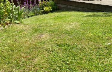 Cedar Lodge - Photo 22