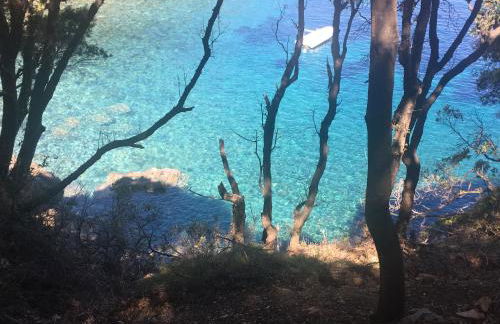 Villa Shanti Yoga & Meditation - Foto 74