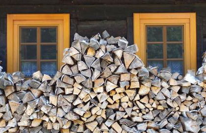 Ferienhaus Alte Stube - Foto 22