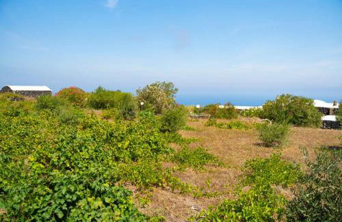 Dammuso Villa Rosa - Foto 42