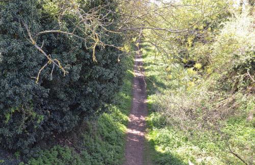 The Waiting Rooms - Foto 9