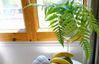 Dreamkeys Apartments & Suites - Photo 90