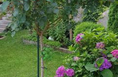 Ferienwohnung Guth - Foto 30