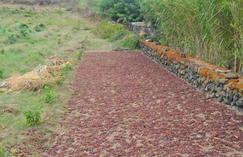 Agriturismo Zinedi - Foto 28