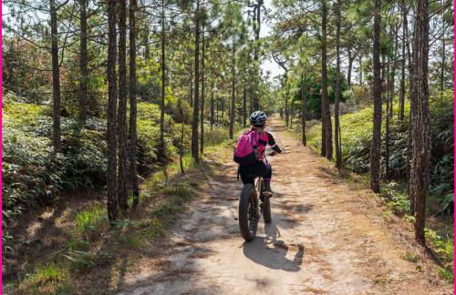 Mobilhome 2ch récent et climatisé-terrasse fermée-jardin sans vis à vis-camping 4 étoiles Les Charmettes - Foto 39