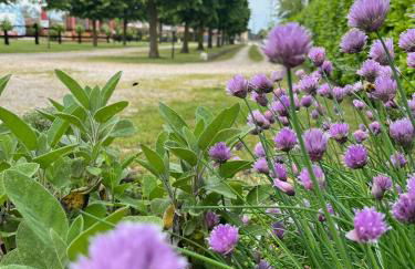 Agriturismo Al Buttasella - Photo 5