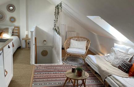 Le cosy marnais, centre ville, vue cathédrale - Foto 14