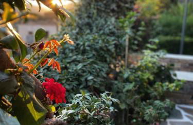 Giasemi apartments - Foto 18