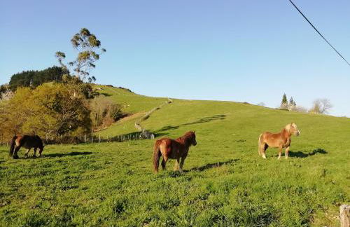 Agroturismo Pagoederraga - Foto 37