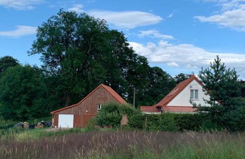 Storchenwiese Wald Meer Natur - Foto 25