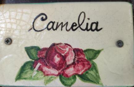 Agriturismo Casalicchio - Foto 39