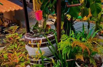 Visão privilegiada Garatucaia - Foto 26