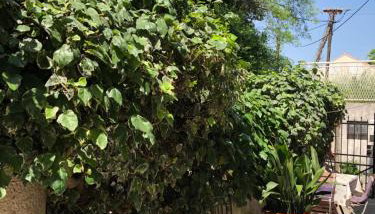 Stone House Apartment - Foto 5