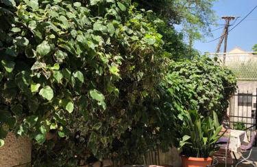 Stone House Apartment - Foto 5