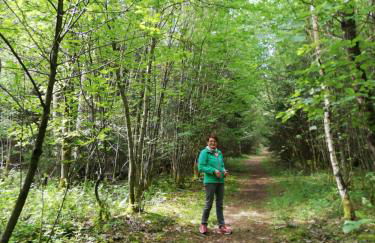 Ferienwohnungen Blum - Foto 12