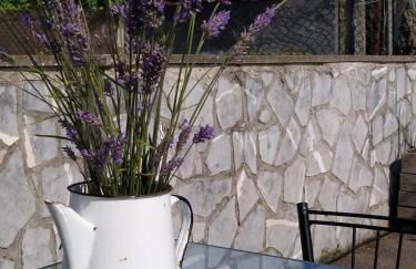 LA GRANDA DE LA CONCHA - Foto 22