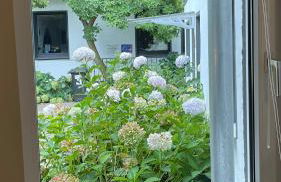 OASE im grünen Hinterhof, EG, Ruhe, Terrasse, Carport, free PayTV, Kaffee&Tee, Fahrräder - Foto 26