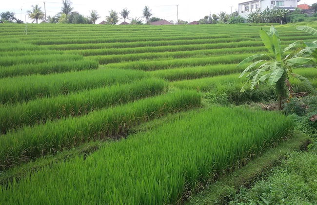 Royal Nyanyi Villa - Photo 26