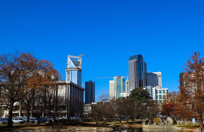 Visita guiada por Charlotte - Foto 8