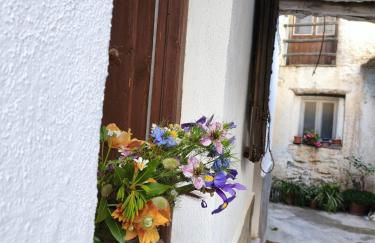 Casa Violeta - Foto 59