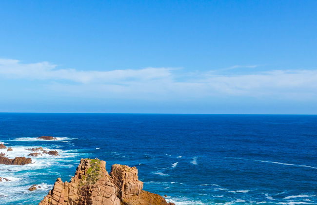 Paseo en barco por la Isla Phillip - Foto 1