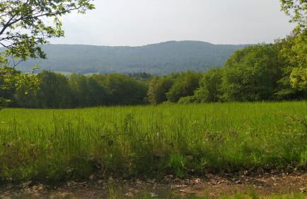 Ferienwohnung zum Märchenwald - Foto 43