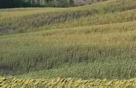 Casa dei Borghi - Foto 27