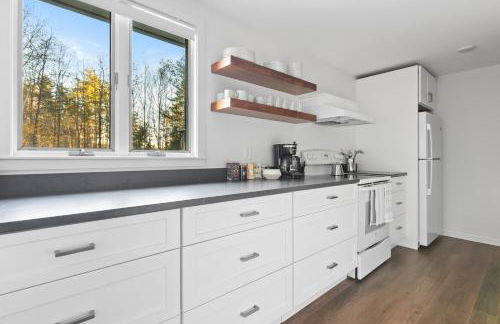 Stratton Ski Haus AFrame Hot Tub Sauna EV Okemo - Foto 10