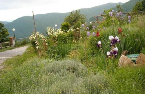 Woodland Escape With Pool - Foto 78