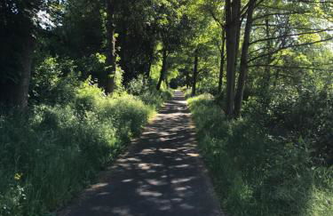 Apartment-47 Fulda - Photo 74