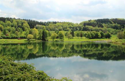 Ferienhaus Am alten Fachwerk - Foto 16