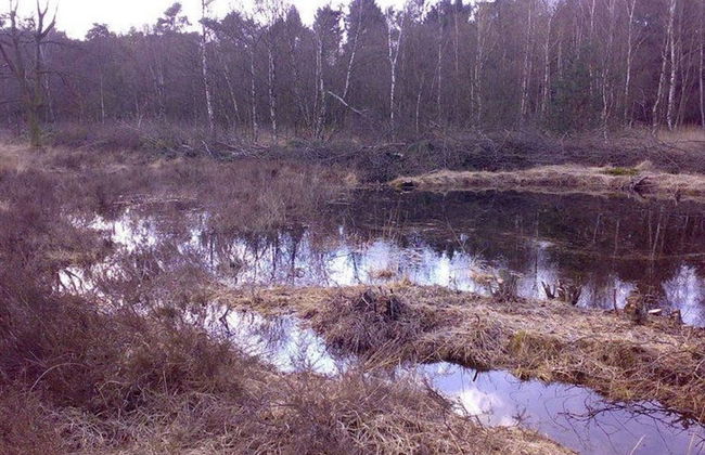 Family Farmhouse With Go-karts - Photo 35