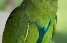 Agriturismo Tenuta Sant'Antonio - Foto 15