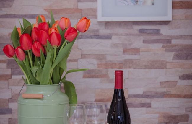 Shenkin Vilmar Apartments - Foto 17