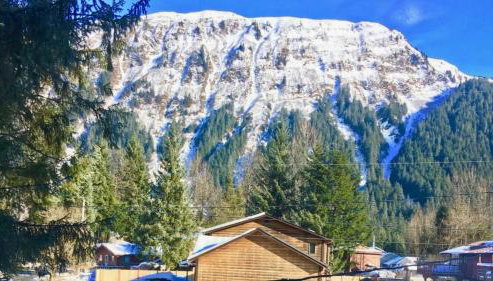 Mendenhall Private Room In Shared Home - DISCOUNT ON TOURS - Foto 5