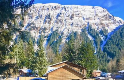 Trailhead Room - Near Mendenhall Glacier, Trails, and Conveniences - DISCOUNTS ON TOURS! - Foto 22