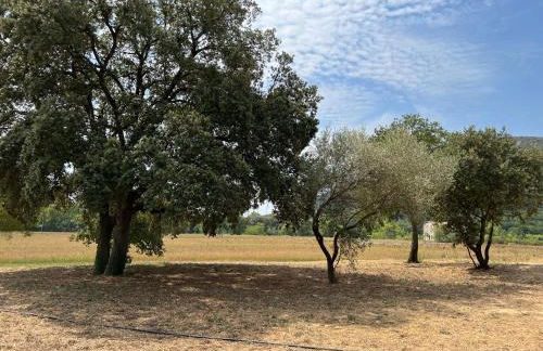 Mas Grenadine, magnifique villa du Piémont Cévenol - Photo 20