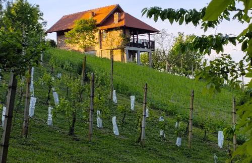 Ruralna kuća za odmor Brezanka, Zagrebačka ulica 21 Gornja Stubica - Foto 13