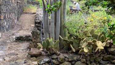 Casita Pedro González - Foto 3
