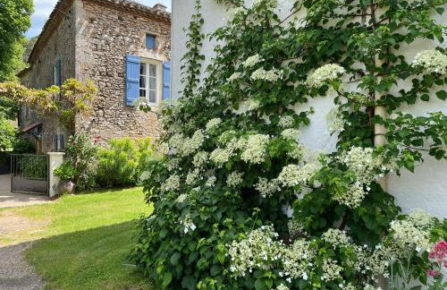 La maison d'iréne - Foto 10