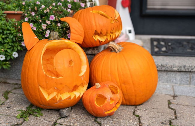 Stylish Apartment in Merschbach near Forest - Photo 18