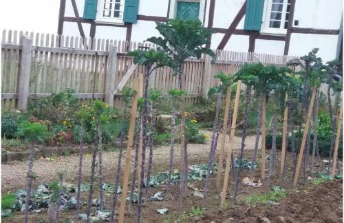 Lovely Apartment in Extertal - Foto 39