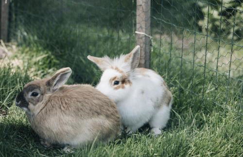 Flaschtal-Hof - Foto 15