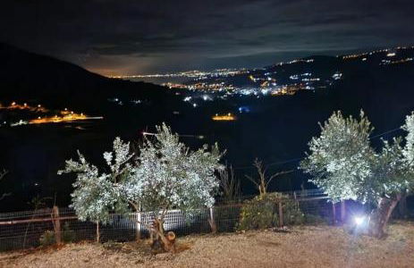 Dimora dei Cardinali - Foto 47