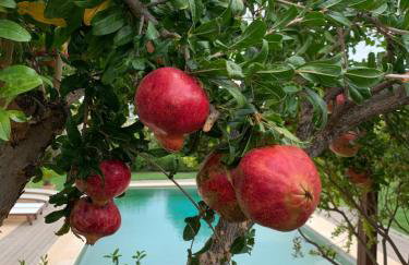 Luxury Maisonette with Pool - Foto 20