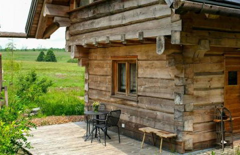 Log Cabin In The Upper Harz Mountains - Foto 28