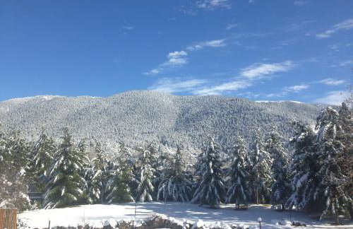 Vitina House - Photo 22