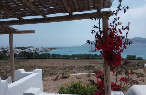 Ammos Studio - Foto 10